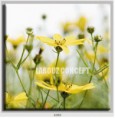 /album/photo-gallery-canvas-uri/decoratiuni-de-perete-canvas-lc-1060-jpg/